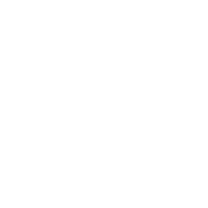 GUNINESS